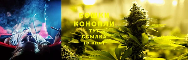 тгк Арсеньев