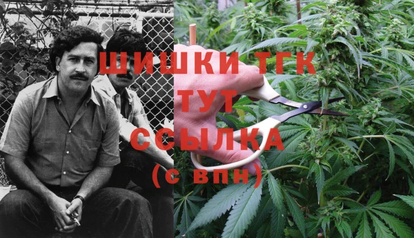 тгк Арсеньев