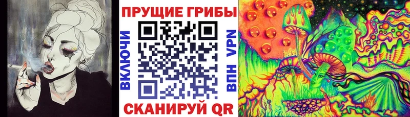 Псилоцибиновые грибы Magic Shrooms  Хилок 